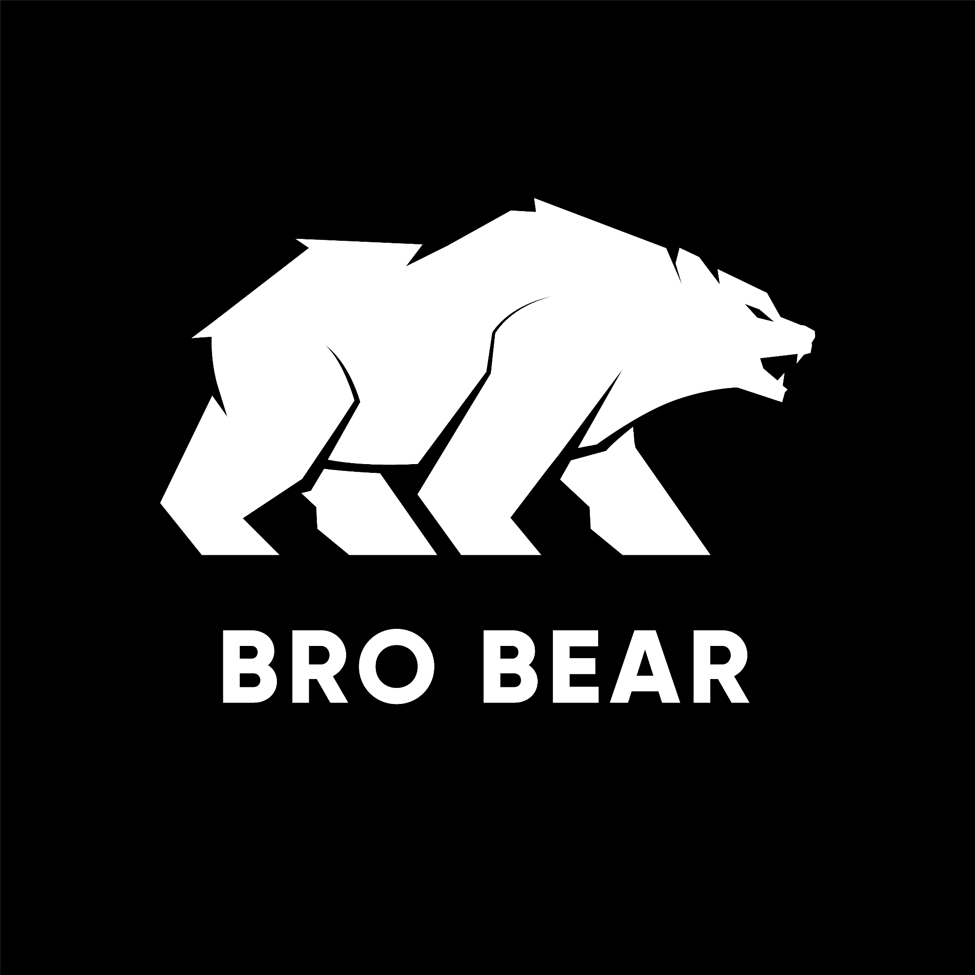 Bro Bear