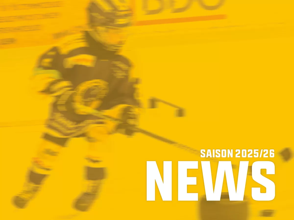 Nachwuchs_News_Teaser5.jpg
