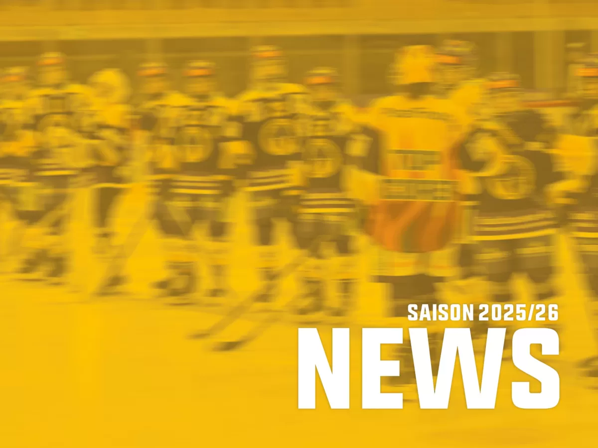 Damen_News_Teaser5.jpg